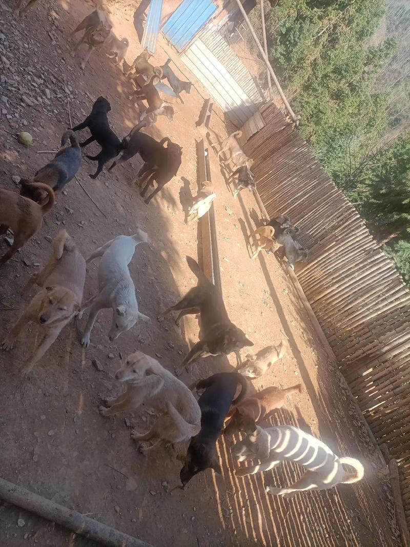 2018年属牛每月运势