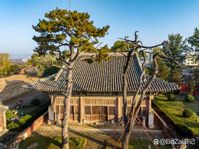 龙宝宝取名宜用字，龙字起名用什么好听