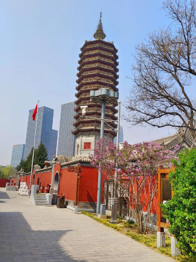 五行属木字的男孩名字属猪 男孩缺木补木最好的名字